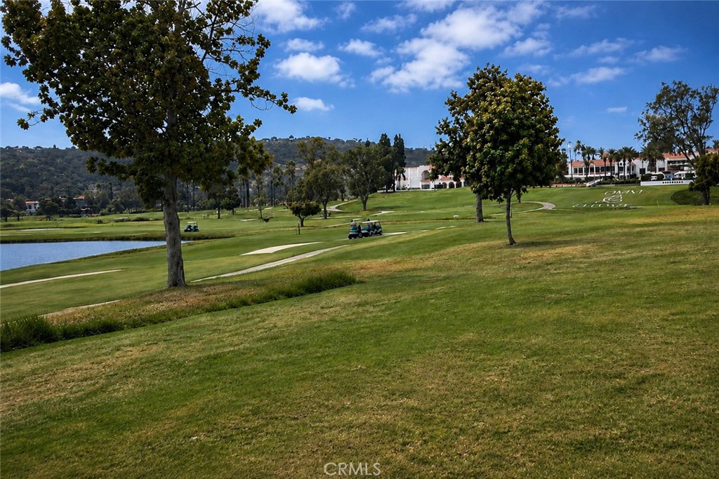 7343 Almaden - photo 8
