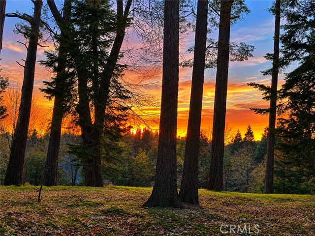 27877 Holly, Lake Arrowhead, CA 92352