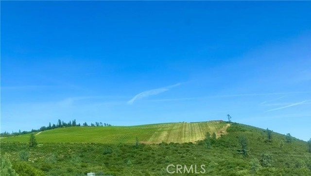 Image 3 of 4 For 15909 Little Peak