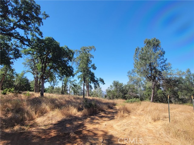 Detail Gallery Image 3 of 12 For 5587 Alta Vista Rd, Mariposa,  CA 95338 - – Beds | – Baths