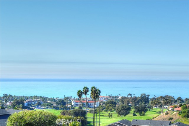 Front Image Thumbnail for CROC25276938