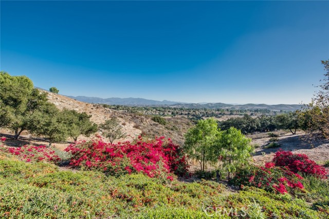 23261 Castle Rock, Mission Viejo CA: https://media.crmls.org/medias/1dbd648d-d009-4634-96eb-01ee99edebf0.jpg