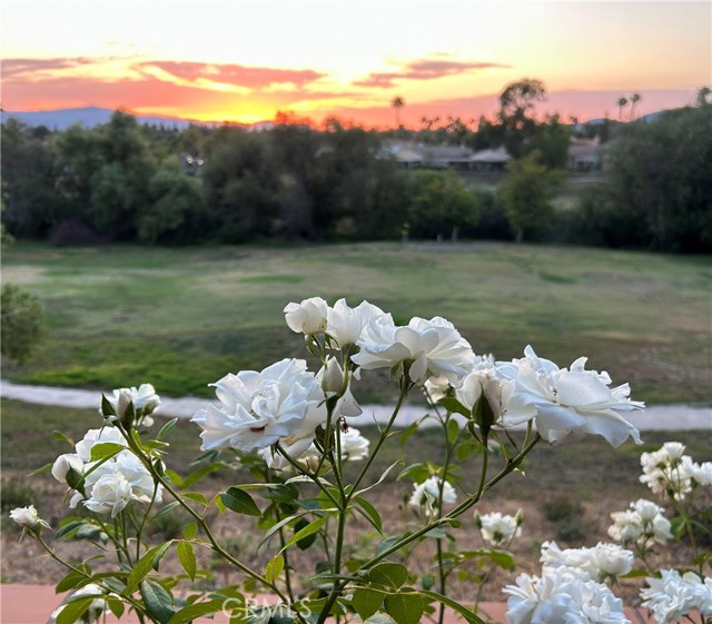 Detail Gallery Image 7 of 57 For 40581 via Amapola, Murrieta,  CA 92562 - 3 Beds | 2/1 Baths