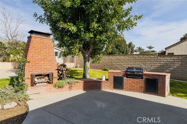 Backyard BBQ and Fireplace