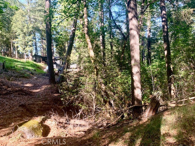 Image 5 of 7 For 17325 Fernbrook