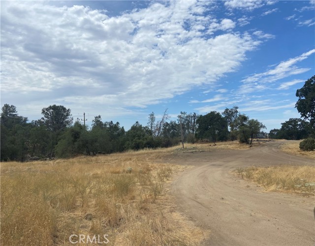 0 Hogans Mountain RD, Coarsegold, California 93614, ,Land,For Sale,0 Hogans Mountain RD,CRMP23147543