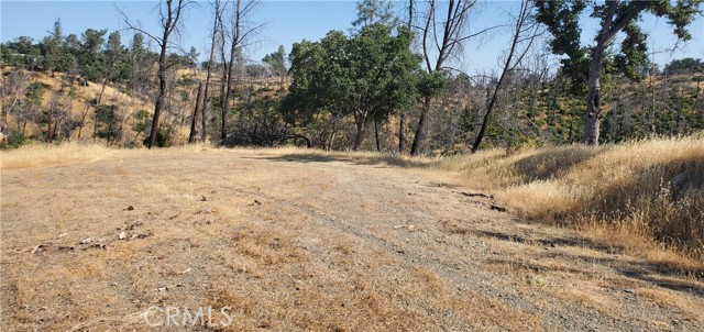 Detail Gallery Image 9 of 11 For 15687 Stagecoach, Corning,  CA 96021 - – Beds | – Baths