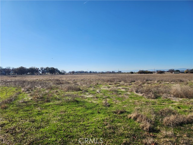 Detail Gallery Image 37 of 42 For 1882 Capay Rd, Corning,  CA 96021 - – Beds | – Baths