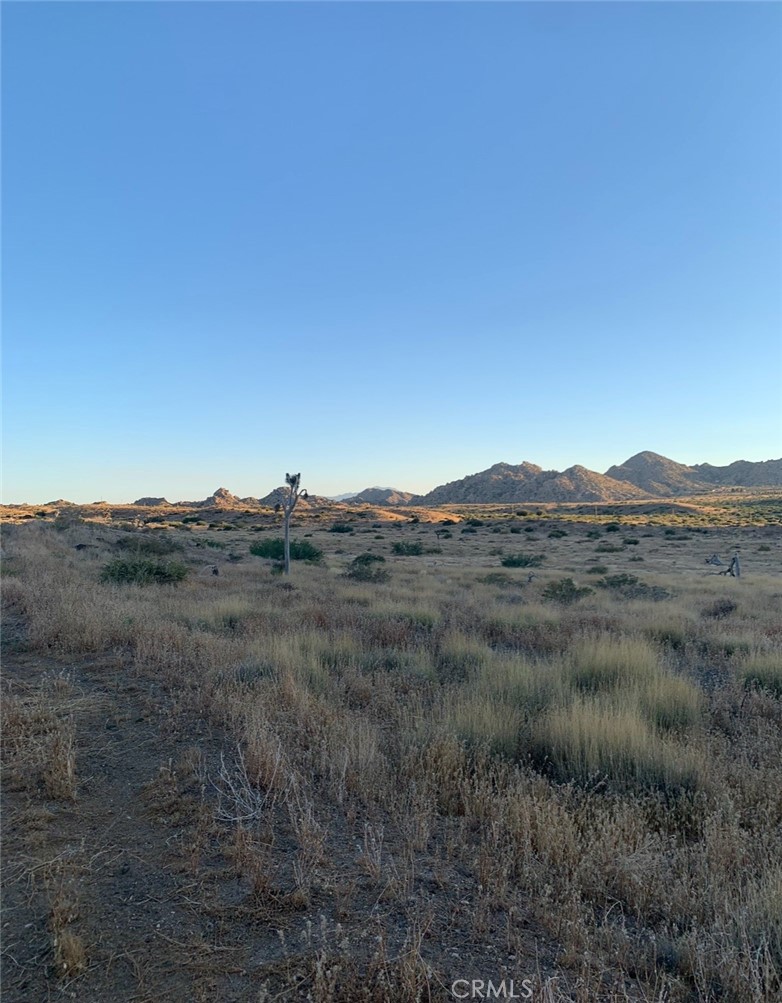 MLS #SW25164124 image #5