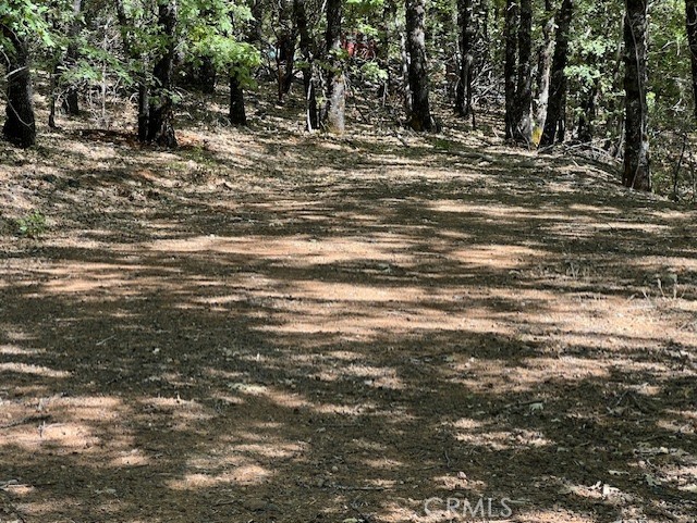 Building pad, trees cleared.