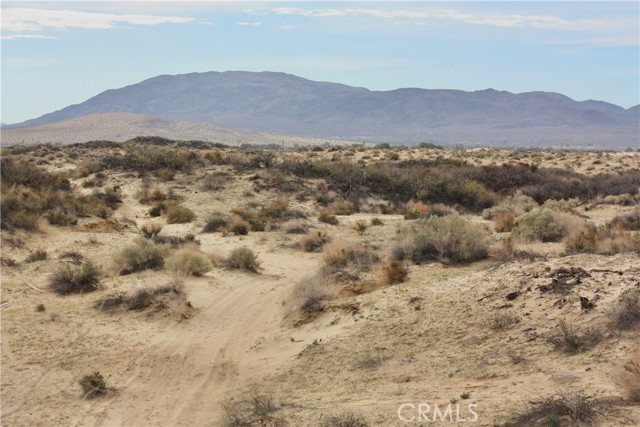 Detail Gallery Image 20 of 20 For 204 Adobe Rd, Twentynine Palms,  CA 92277 - – Beds | – Baths