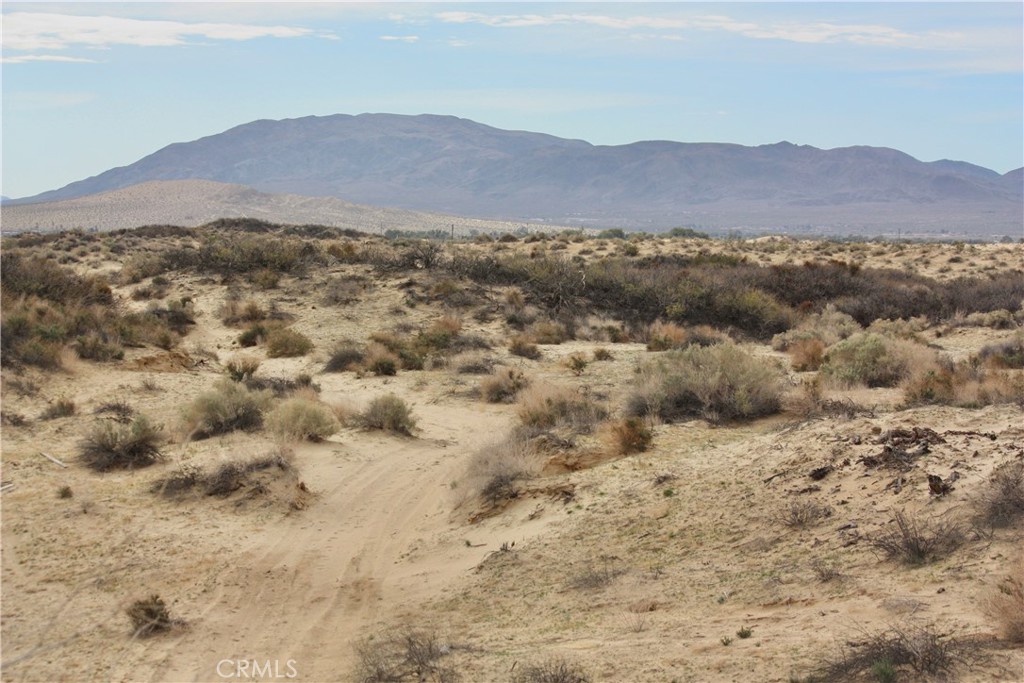 MLS #JT25270168 image #19