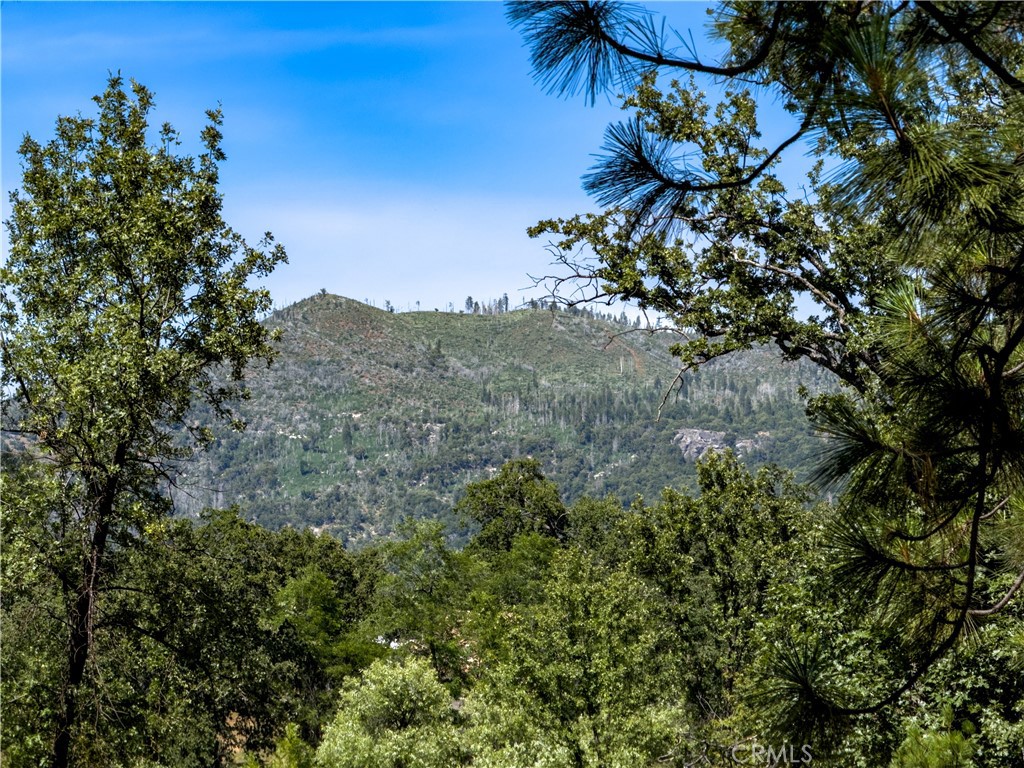 https://media.crmls.org/medias/1dd790eb-c96f-4a76-833a-661420d59ffb.jpg?preset=X-Large