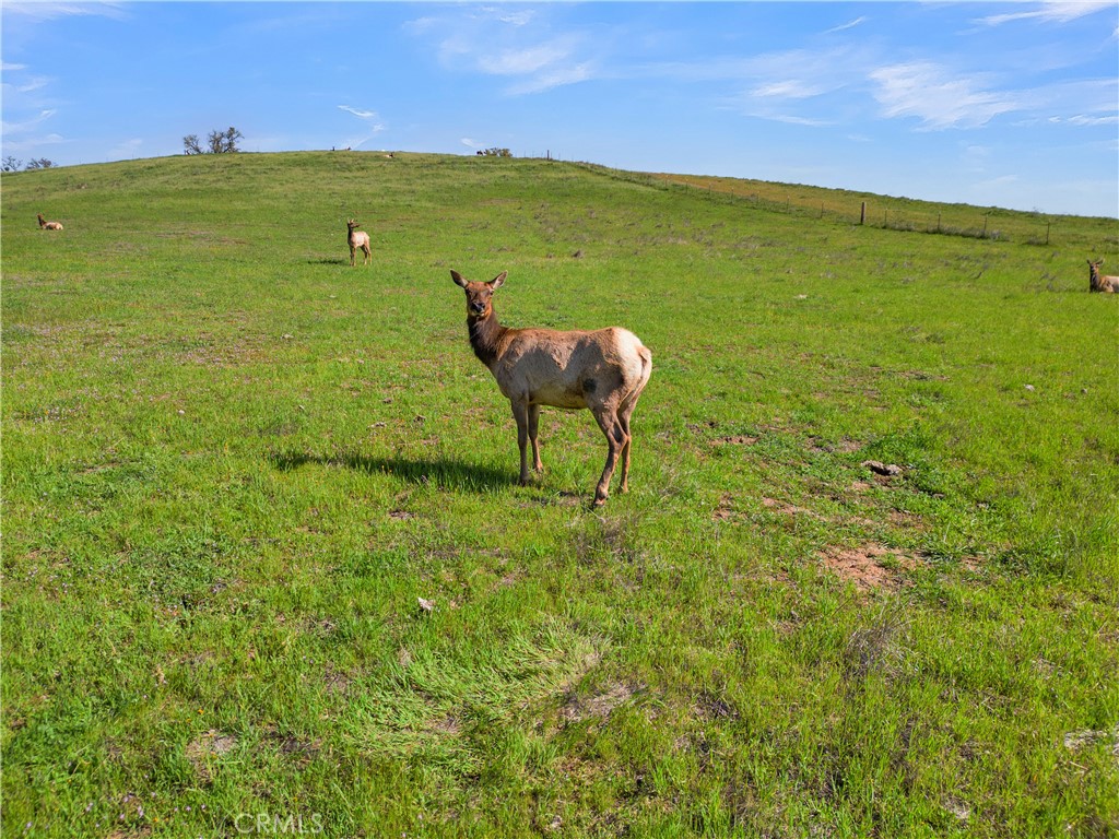 12000 Nacimiento Lake Drive