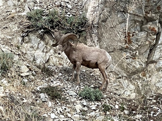 Detail Gallery Image 24 of 26 For 40204 Valley of the Falls, Forest Falls,  CA 92339 - 3 Beds | 2 Baths