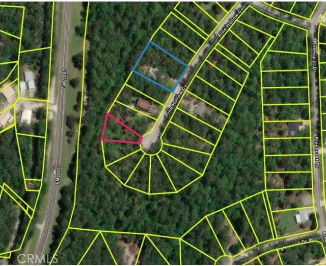 206 Pine Hollow Cove, Outside Area (Outside Ca) CA: https://media.crmls.org/medias/1de365f9-4606-4b31-8562-02cbf08e8507.jpg