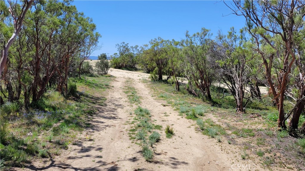 53409 Pony Trail