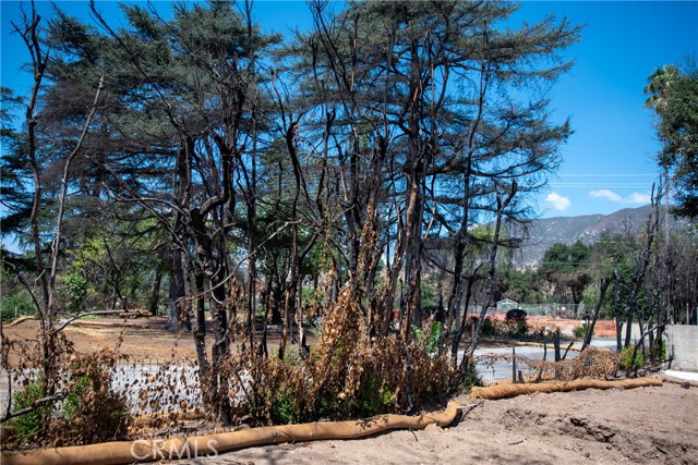 MLS #IV25221745 image #11