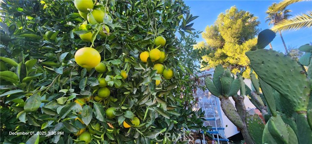 Detail Gallery Image 13 of 25 For 33508 Orange St, Wildomar,  CA 92595 - 3 Beds | 2 Baths