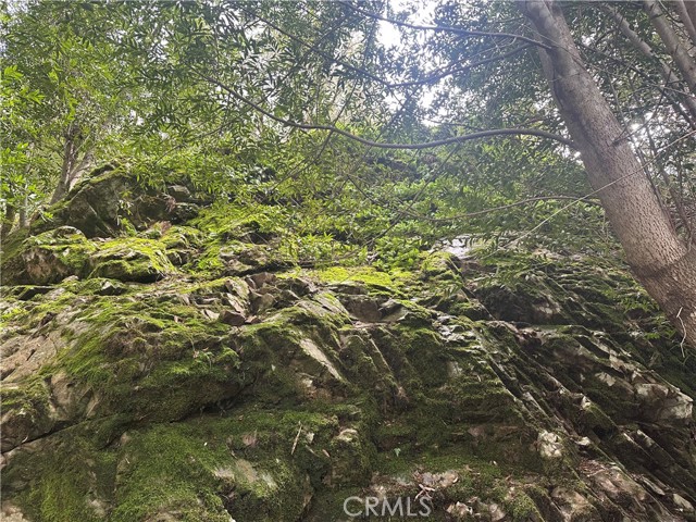 Detail Gallery Image 9 of 13 For 9000 Scotts Valley Rd, Upper Lake,  CA 95485 - – Beds | – Baths