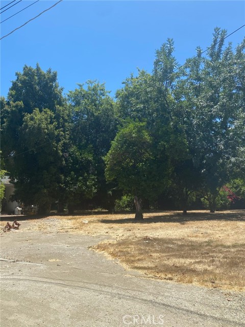 7110 Firmament Avenue, Van Nuys CA: https://media.crmls.org/medias/1e008db1-7cf2-47ee-9766-ba2c9326483a.jpg