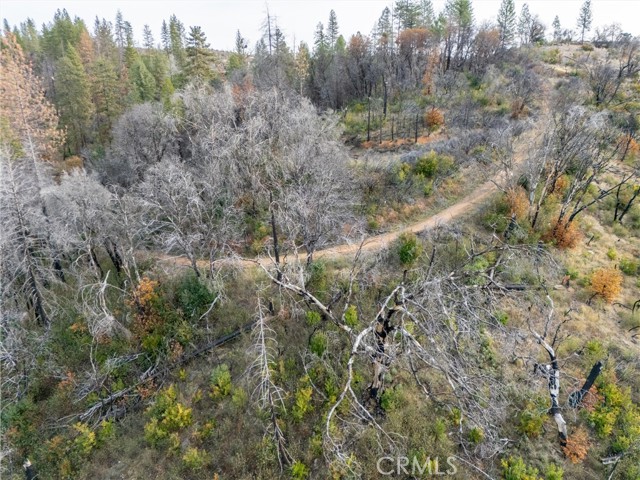 2261 Lumpkin Road, Oroville, California 95966, ,Land,For Sale,2261 Lumpkin Road,CRSN23227177