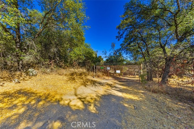 Detail Gallery Image 9 of 28 For 4200 Silver Lane Rd, Mariposa,  CA 95338 - – Beds | – Baths
