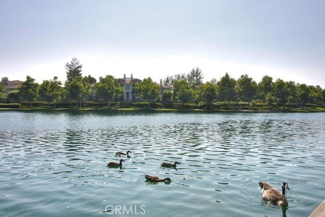 Detail Gallery Image 38 of 58 For 26 via Cordoba, Rancho Santa Margarita,  CA 92688 - 2 Beds | 2 Baths