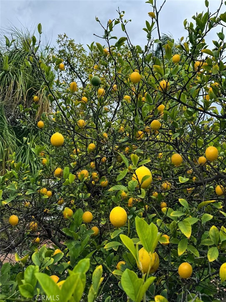 https://media.crmls.org/medias/1e1d054e-6fd5-4423-8b7e-6b5fecea400e.jpg?preset=X-Large