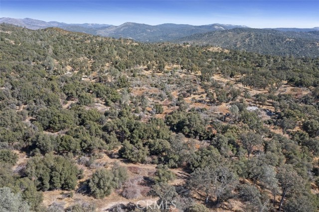 Detail Gallery Image 16 of 16 For 0 39.29 Ac Village Dr, Oakhurst,  CA 93644 - – Beds | – Baths