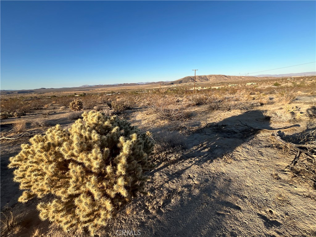 MLS #JT25250463 image #5