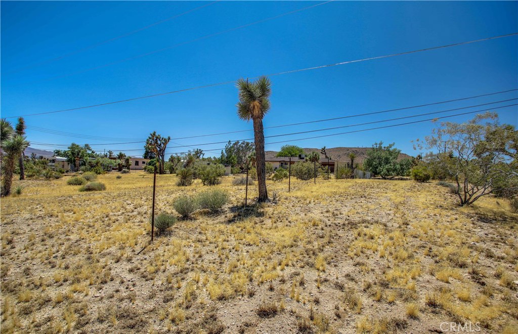 MLS #JT25238797 image #36