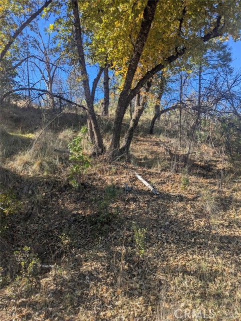 Detail Gallery Image 36 of 38 For 1833 Hunter Point Rd, Upper Lake,  CA 95485 - – Beds | – Baths