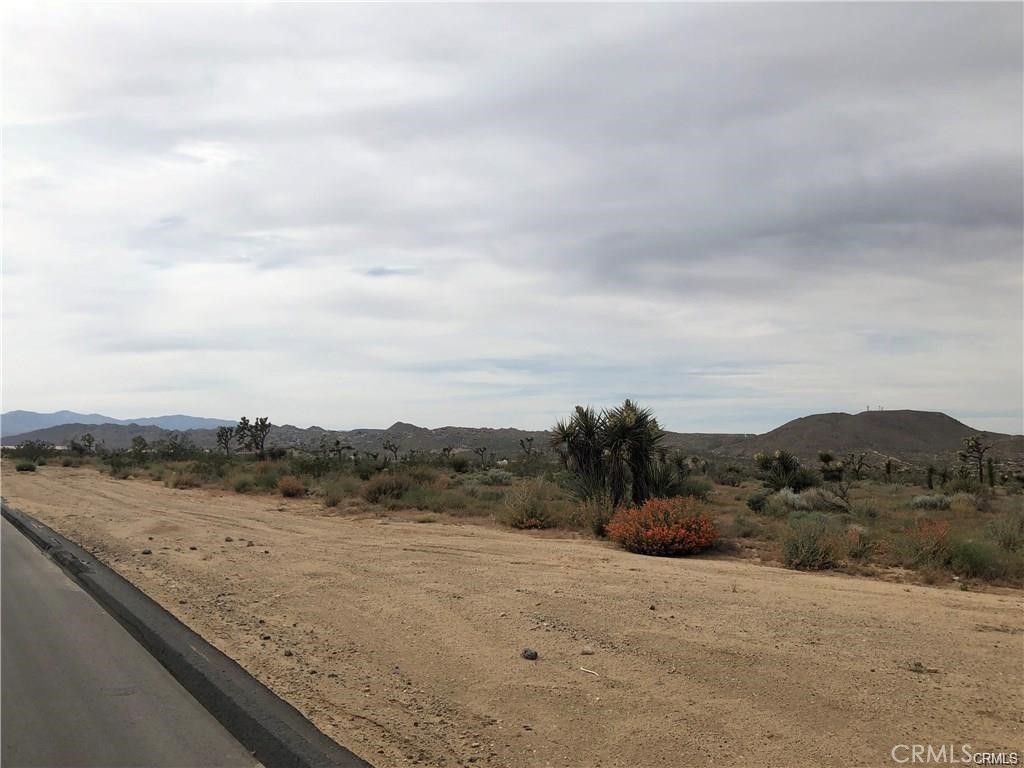 MLS #JT25263689 image #4