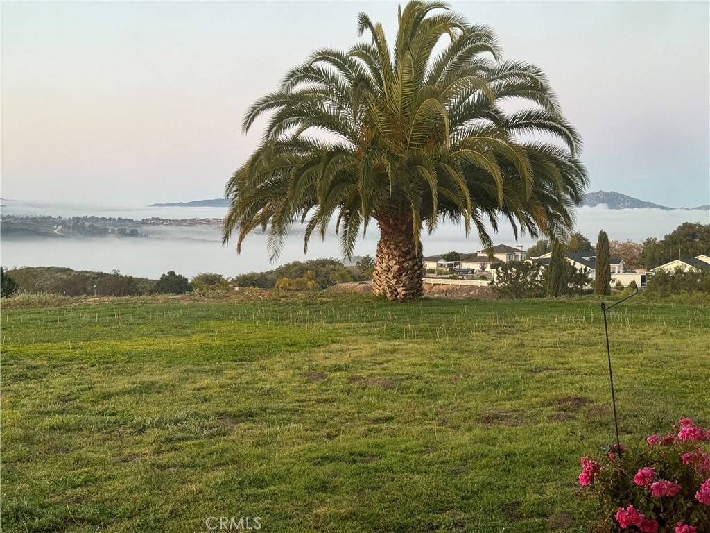 https://media.crmls.org/medias/1e3863c1-b5f0-456a-a952-13db32e131ff.jpg?preset=X-Large