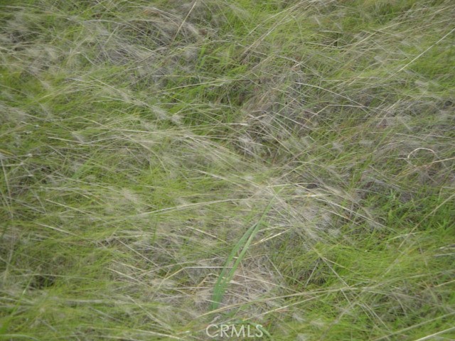 Detail Gallery Image 7 of 10 For 0 Justelle Dr, Oroville,  CA 95965 - – Beds | – Baths