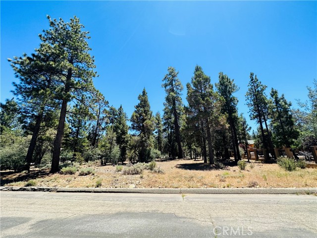 Detail Gallery Image 1 of 1 For 1316 Shadowhill Ct, Big Bear City,  CA 92314 - – Beds | – Baths