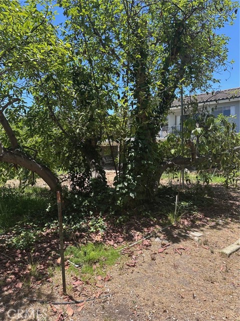 2009 W Las Lanas Lane, Fullerton CA: https://media.crmls.org/medias/1e44ca1f-0e9b-409e-a885-8f301726c451.jpg