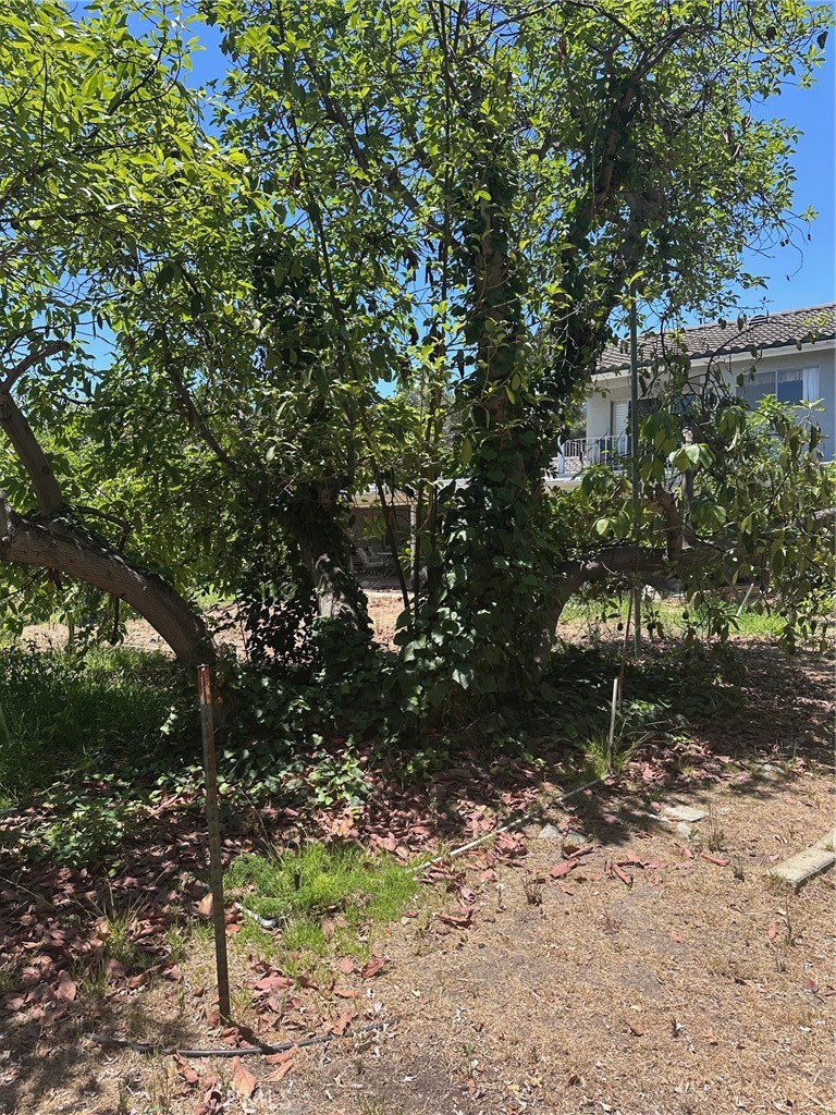 https://media.crmls.org/medias/1e44ca1f-0e9b-409e-a885-8f301726c451.jpg?preset=X-Large