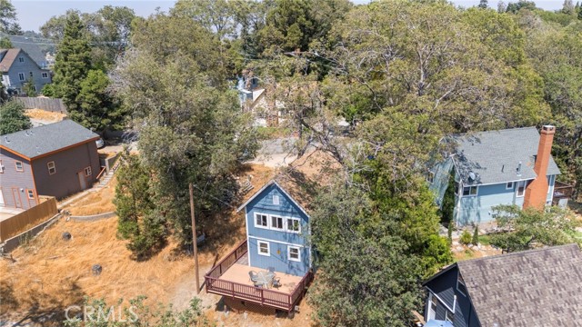 29251 Lake Brook Avenue, Cedar Glen CA: https://media.crmls.org/medias/1e47a69b-597f-4f64-a6a7-f2a43c0d7274.jpg