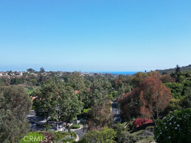 Detail Gallery Image 15 of 26 For 49 Woodhaven Dr, Laguna Niguel,  CA 92677 - 4 Beds | 3 Baths