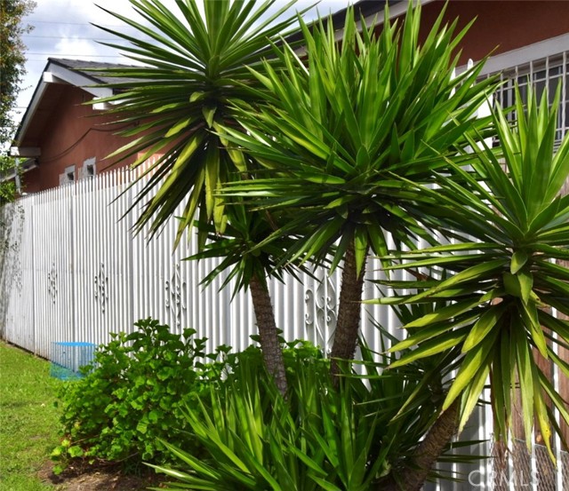 Detail Gallery Image 4 of 16 For 1945 W Vernon, Los Angeles,  CA 90062 - – Beds | – Baths