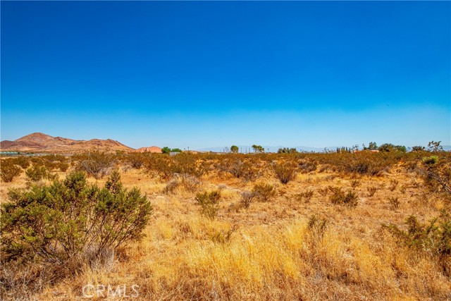  Land for Sale in Rosamond, California