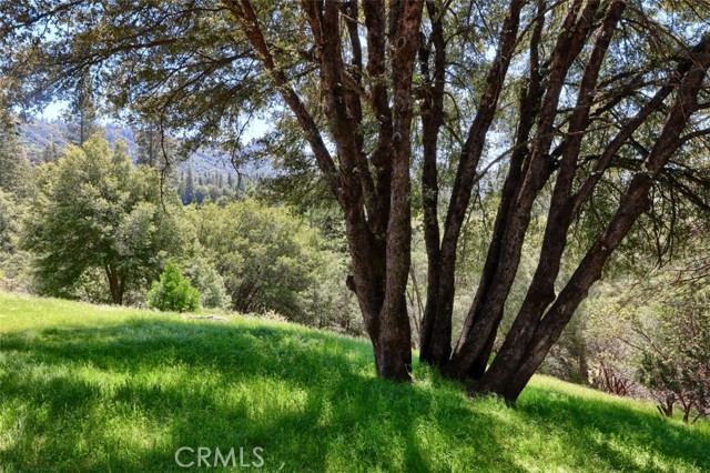 Detail Gallery Image 36 of 46 For 2407 Parmabelle Rd, Mariposa,  CA 95338 - 4 Beds | 2 Baths