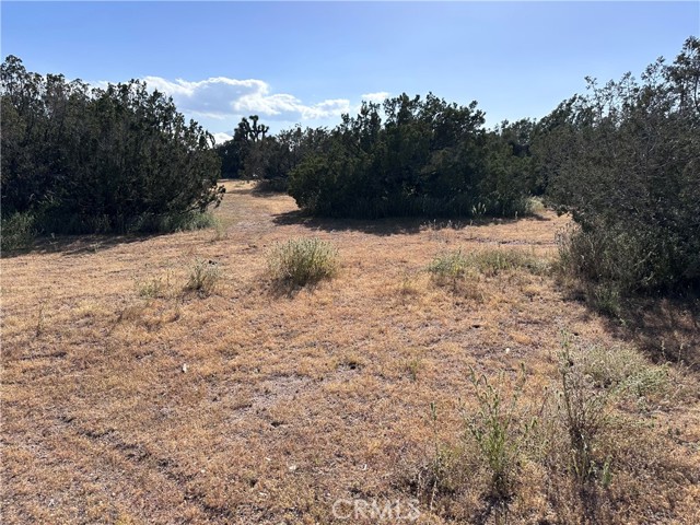 0 Daisy, Hesperia, CA, 92344 0 Daisy, Hesperia, CA, 92344