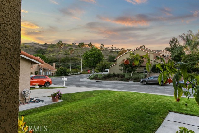 Looking out the Front Door