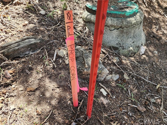 Detail Gallery Image 10 of 24 For 586 Rose, Twin Peaks,  CA 92391 - – Beds | – Baths