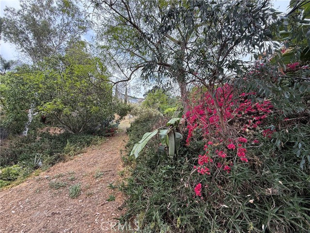 1233 Bonita Way, El Cajon CA: https://media.crmls.org/medias/1e5273da-857b-4bca-b49e-41708c42af2b.jpg