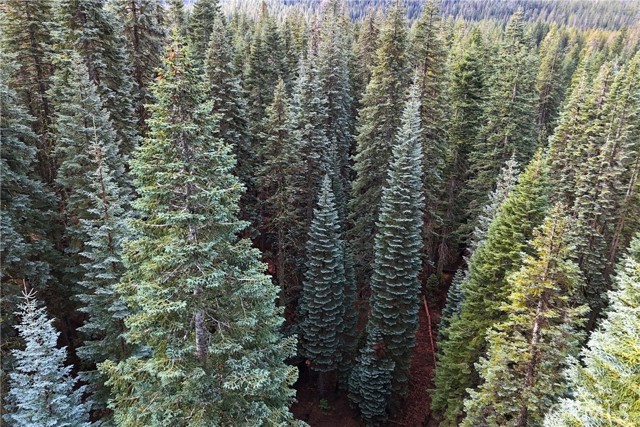 Detail Gallery Image 10 of 17 For 1100 Cleghorn Dr, Quincy,  CA 95971 - – Beds | – Baths