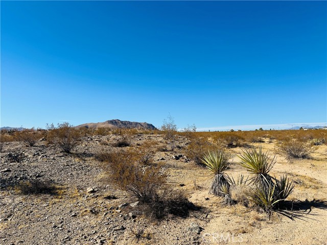 Detail Gallery Image 7 of 11 For 24 Avenida Del Sol, Joshua Tree,  CA 92252 - – Beds | – Baths